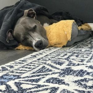 Meet your Posher, Aisha